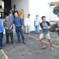 PDSI – PDC Tebar Hewan Qurban di Area Operasi