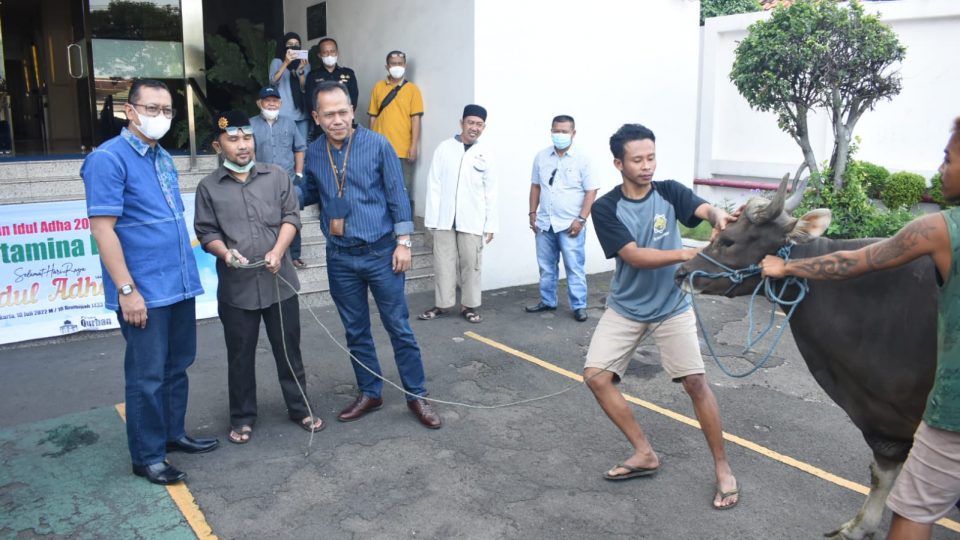PDSI – PDC Tebar Hewan Qurban di Area Operasi