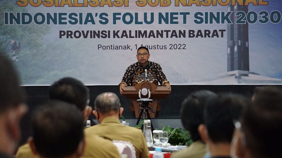 KLHK Tekankan Peran Penting Hutan dalam Penurunan Emisi Gas Rumah Kaca