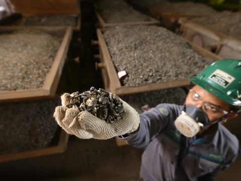 ANTAM Gandeng BRIN Bangun Kemandirian Teknologi Mineral