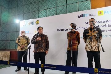 Jadi Holding, PLN Bentuk Tiga Anak Usaha Baru