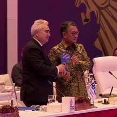 Gandeng IEA, Indonesia Revisi Net Zero Emissions Roadmap Sektor Energi