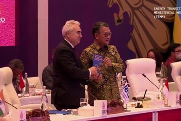 Gandeng IEA, Indonesia Revisi Net Zero Emissions Roadmap Sektor Energi