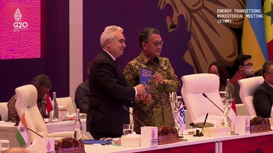 Gandeng IEA, Indonesia Revisi Net Zero Emissions Roadmap Sektor Energi