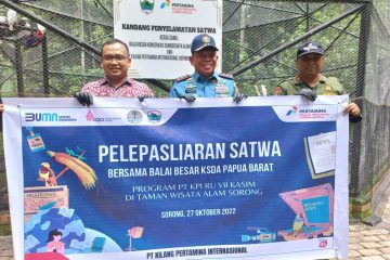Dukung Pencapaian ESG, KPI Unit Kasim Gandeng BBKSDA Lestarikan Satwa Endemik Papua Barat