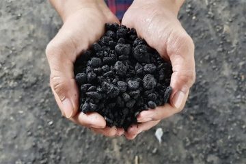 Larangan Ekspor Aspal Berlaku Dua Tahun Lagi, Jokowi : Kebutuhan Aspal Nasional Disuplai dari Buton