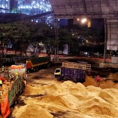 PLN Hasilkan Listrik 394 GWh dari Cofiring 33 PLTU