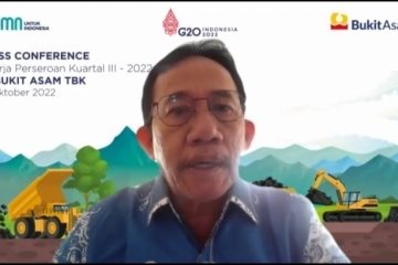 PTBA Raih Laba Bersih Rp 10 Triliun, Naik 110 %