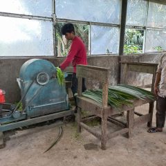 PESONA SUBANG, Olah Serat Daun Nanas Jadi Produk Green Textile Binaan Pertamina EP