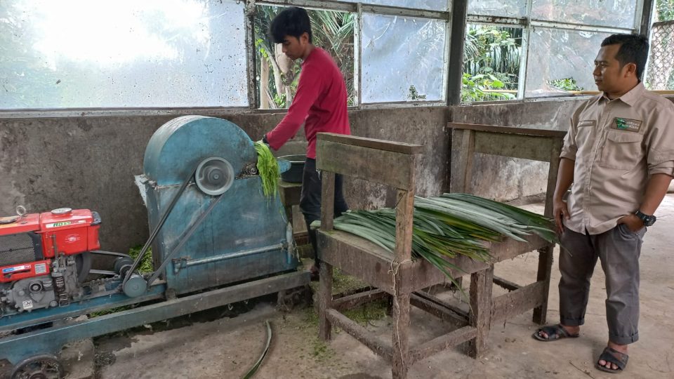 PESONA SUBANG, Olah Serat Daun Nanas Jadi Produk Green Textile Binaan Pertamina EP