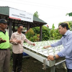 JEJAK SETAPAK, Mengangkat Kualitas Pertanian Organik Petani Plawad