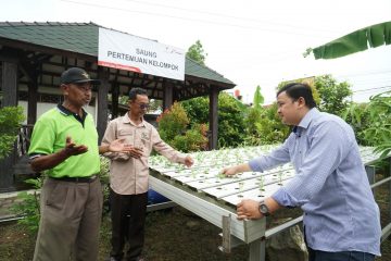 JEJAK SETAPAK, Mengangkat Kualitas Pertanian Organik Petani Plawad