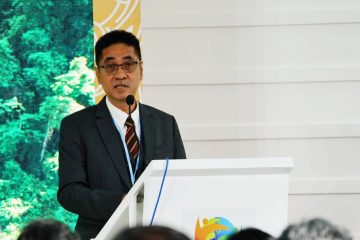 Pemerintah Targetkan Kebutuhan Biomassa Berbasis Kayu dalam Transisi Energi Capai 60 Juta Ton Per Tahun