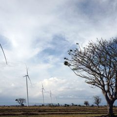 Konsorsium Total Eren dan Adaro Power Menang Tender PLTB Tanah Laut, Harga Listrik Hanya US$5,5 sen/kWh