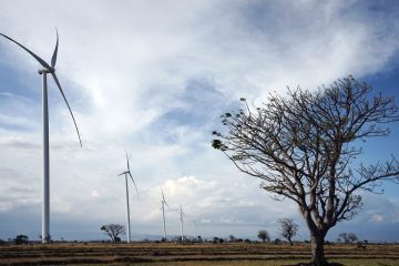 Konsorsium Total Eren dan Adaro Power Menang Tender PLTB Tanah Laut, Harga Listrik Hanya US$5,5 sen/kWh