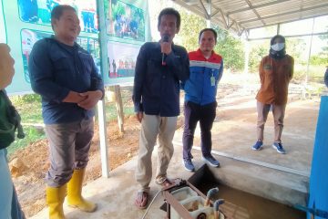 Integrated Farming Tante Siska Pertamina EP Field Sangasanga Dorong Pemberdayaan Masyarakat Desa Sarijaya Secara Berkelanjutan