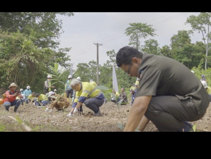 Amman Mineral Inisiasi Penanaman Pohon Aren Berkolaborasi dengan Masyarakat Desa Tongo