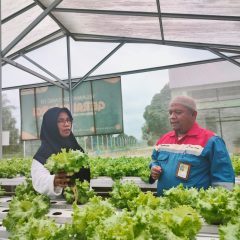 Gerai Energi Bertenaga Matahari