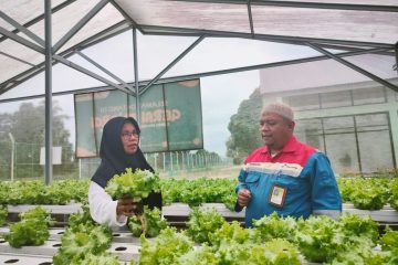 Gerai Energi Bertenaga Matahari