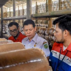 Pertagas Berdayakan Kelompok Tani Baiturrahman Medan Kembangkan Jamur Tiram dan Peduli Lingkungan