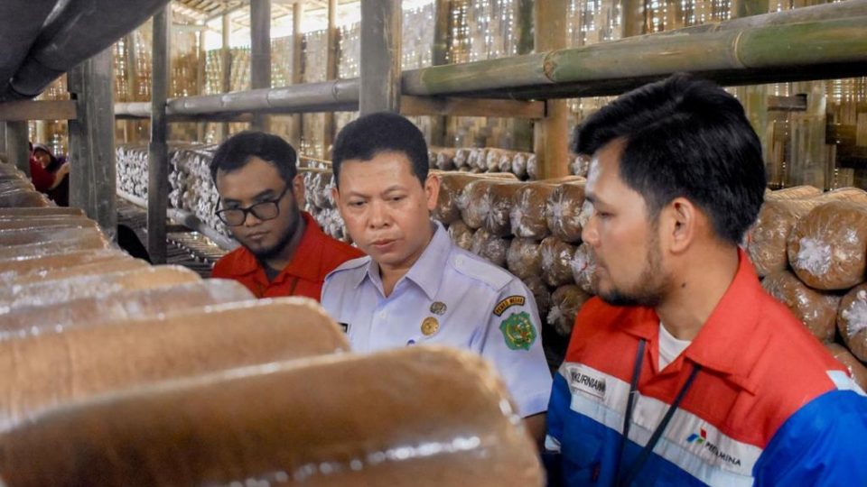 Pertagas Berdayakan Kelompok Tani Baiturrahman Medan Kembangkan Jamur Tiram dan Peduli Lingkungan