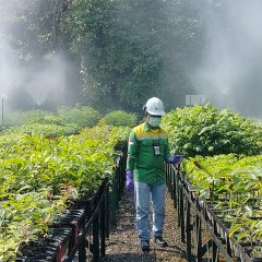 Kebun Masa Depan Lahan Tambang