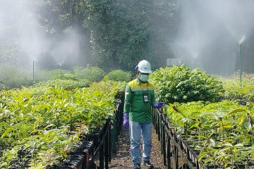 Kebun Masa Depan Lahan Tambang