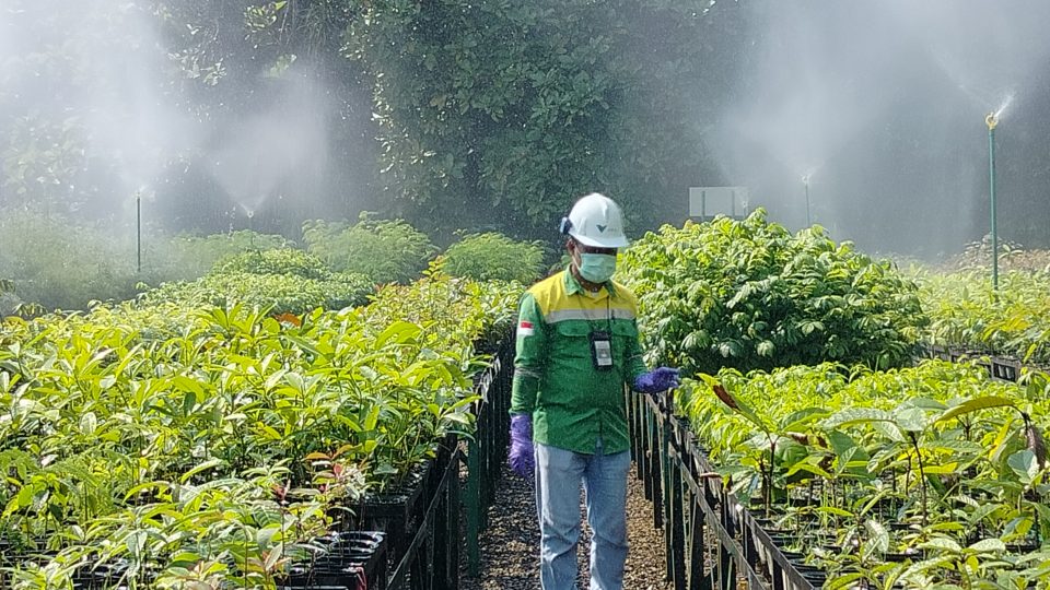 Kebun Masa Depan Lahan Tambang