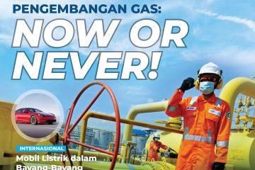 Pengembangan Energi Bersih Terjegal Izin Lingkungan – DE Magazine Vol. 1