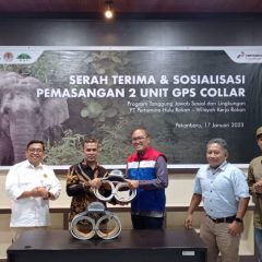 PHR Serahkan Dua Unit GPS Collar Untuk Lindungi Gajah Sumatra