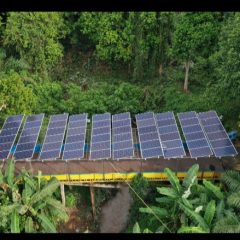 Dorong Kesejahteraan Petani, PTBA Kembangkan PLTS Irigasi