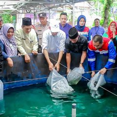 Pertagas dan Walikota Dumai Resmikan Program Budidaya Gurami