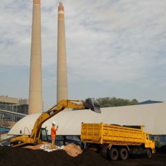 Ini Strategi PLN EPI Amankan Pasokan Biomassa untuk Pembangkit Listrik