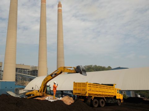 PLN EPI Targetkan 10 Juta Ton Biomassa Digunakan untuk PLTU Pada 2030