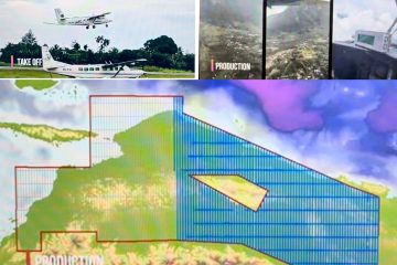 Perdana, Elnusa Lakukan Survei Sub Surface Gunakan Teknologi Pesawat Udara untuk Project PHE Airborne Gravity Mamberamo – Papua
