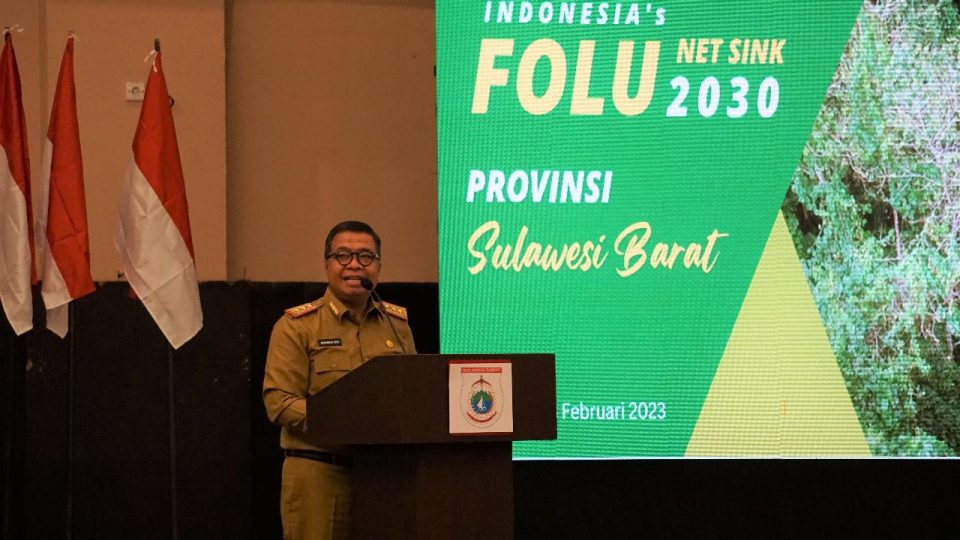Indonesia’s FOLU Net Sink 2030, Langkah Nyata Keseriusan Indonesia Turunkan Emisi