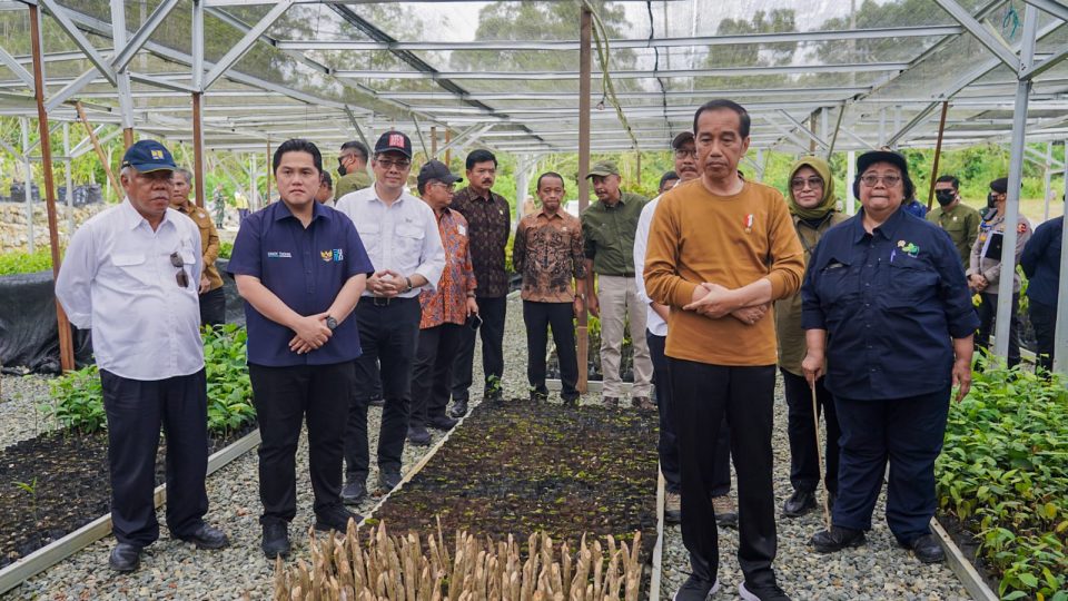 Jokowi: Konsep Besar IKN Untuk Lingkungan, Dimulai Dari Persemaian Mentawir