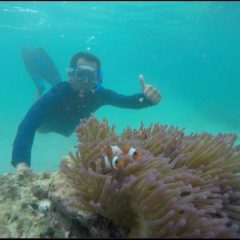 Dorong Dekarbonisasi, Bukit Asam Konservasi Terumbu Karang di Pulau Pahawang