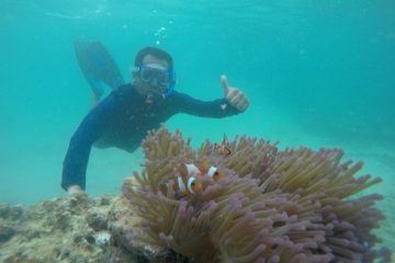 Dorong Dekarbonisasi, Bukit Asam Konservasi Terumbu Karang di Pulau Pahawang