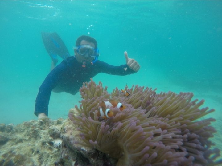 Dorong Dekarbonisasi, Bukit Asam Konservasi Terumbu Karang di Pulau Pahawang
