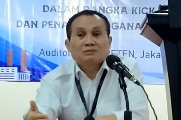 Bapeten Kawal Pengembangan PLTN Thorcon Power