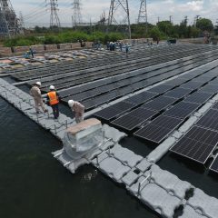 PLN IP Agresif Cari Mitra Strategis Bangun Pembangkit Energi Hijau dan Bersih