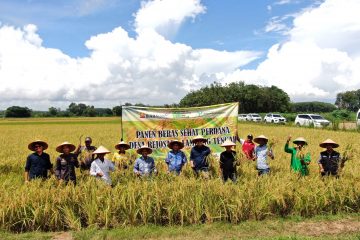 Bukit Asam Dorong Budidaya Beras Organik Demi Kesejahteraan Petani