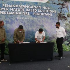 Dapat Hibah ADB, Inisiatif Hijau Pertamina NRE Makin Prospektif?
