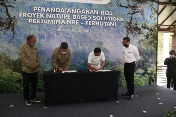 Dapat Hibah ADB, Inisiatif Hijau Pertamina NRE Makin Prospektif?