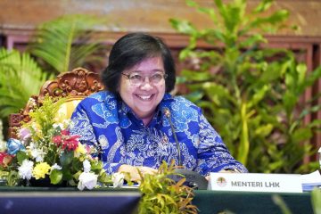 Penguatan Tata Kelola Lingkungan di Daerah Dalam Implementasi Nilai Ekonomi Karbon