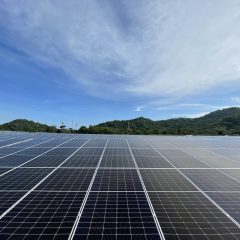 Jaga Keberlanjutan Usaha, Medco Fokus Jalankan Transisi Energi