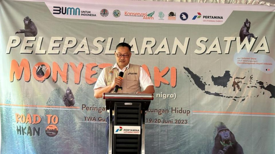 PGE Lepasliarkan Monyet Hitam Sulawesi di Gunung Ambang