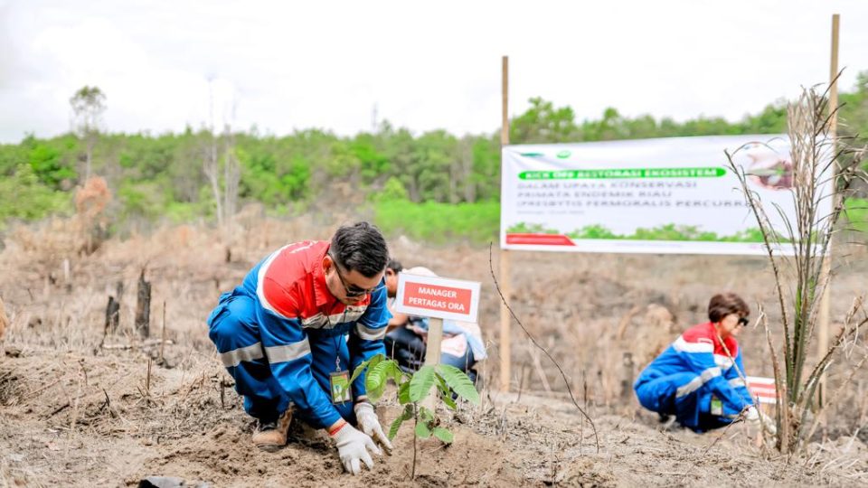Pertagas Tanam 1.200 Pohon Dukung Konservasi Primata Endemik Riau di Balai Raja