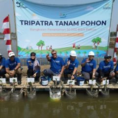 Cegah Perubahan Iklim, Tripatra Tanam 50.000 Pohon